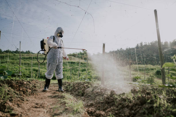 Best Pest Prevention Services  in Tularosa, NM