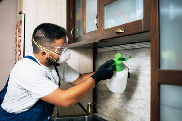 Best Pest Control for Homes  in Tularosa, NM