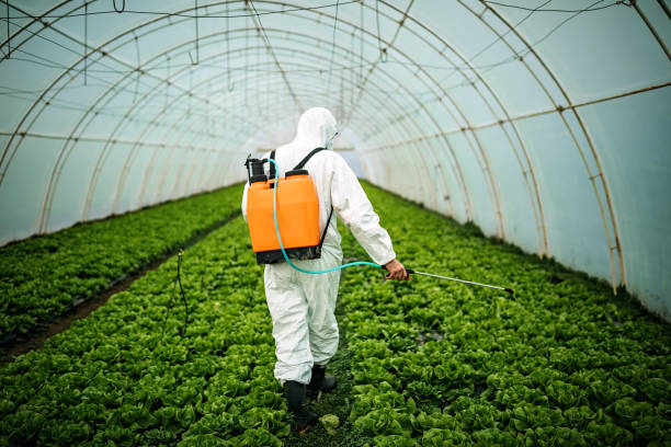 Best Affordable Pest Control Services  in Tularosa, NM