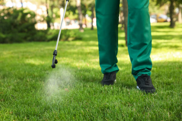 Best Ant Control Services  in Tularosa, NM
