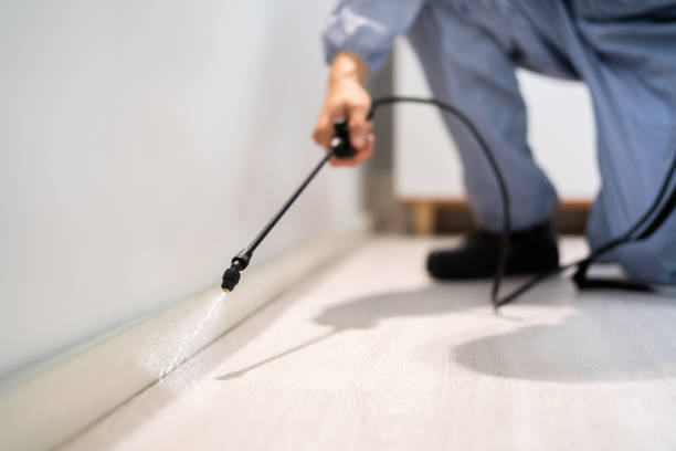 Professional Pest Control in Tularosa, NM