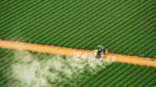 Best Best Pest Control Companies  in Tularosa, NM