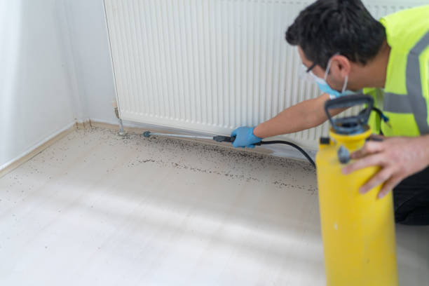 Pest Control Cost in Tularosa, NM