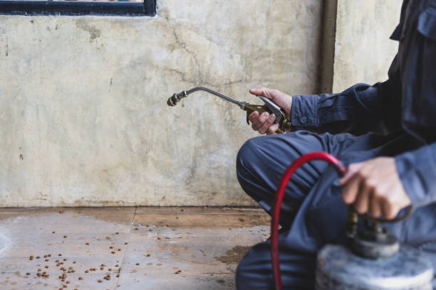 Best Affordable Pest Control Services  in Tularosa, NM